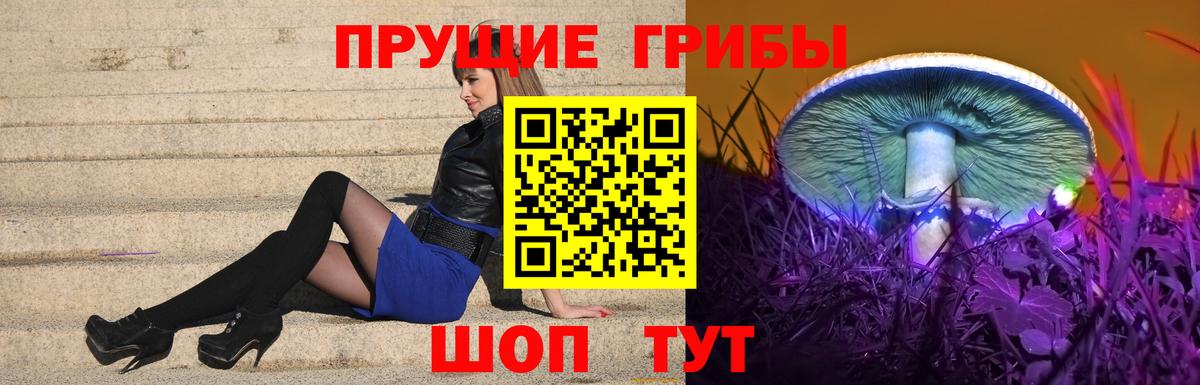Псилоцибиновые грибы Psilocybine cubensis  сколько стоит  Димитровград  Галлюциногенные грибы Cubensis  Вход с VPN 