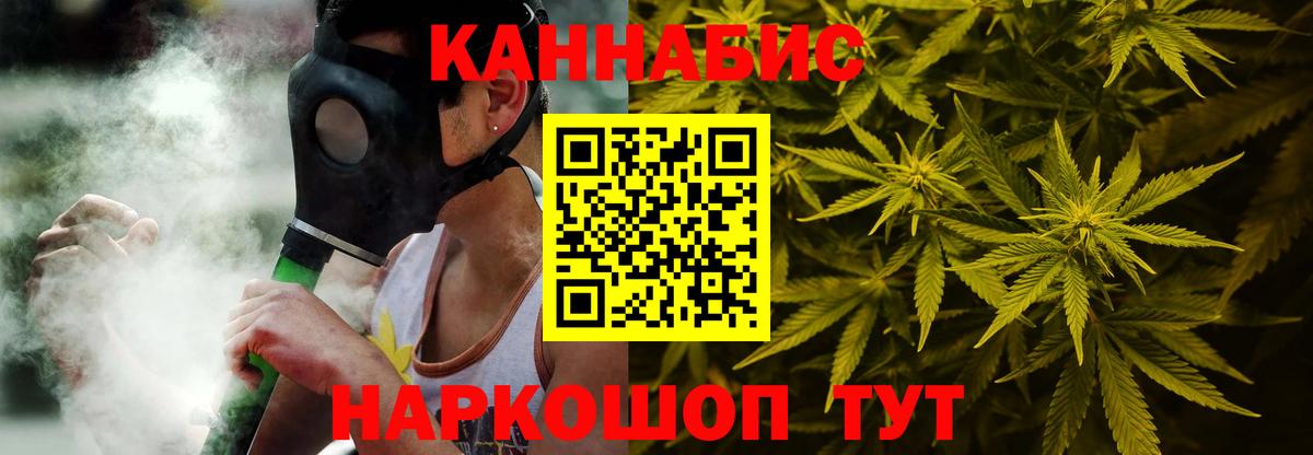 Бошки Шишки план Димитровград